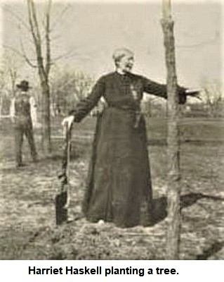 Harriet Haskell planting a tree